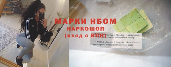 ешки Новодвинск