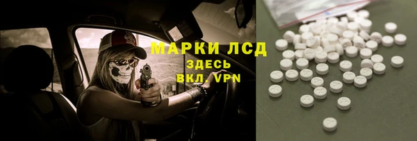 ешки Новодвинск