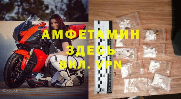 ешки Новодвинск