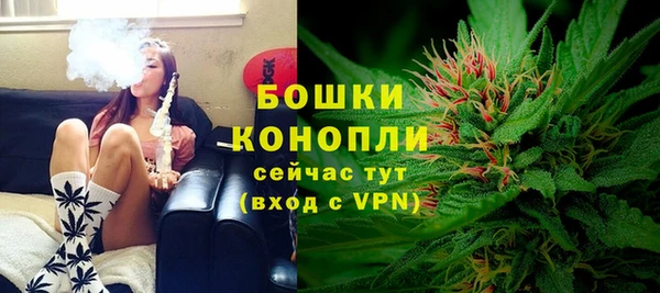 ешки Новодвинск