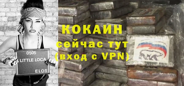 ешки Новодвинск