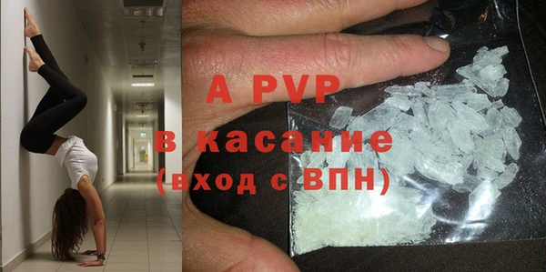 ешки Новодвинск