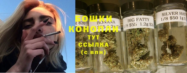 СК Новокубанск