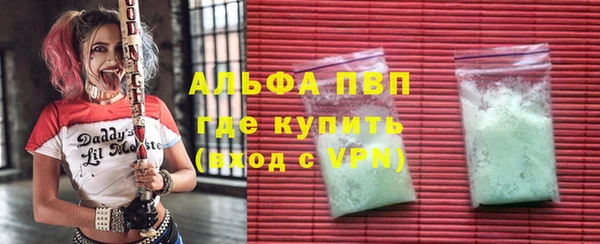 СК Новокубанск