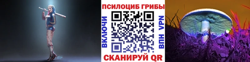 сколько стоит  Холм  Галлюциногенные грибы прущие грибы 